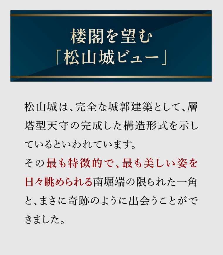 楼閣を望む「松山城ビュー」