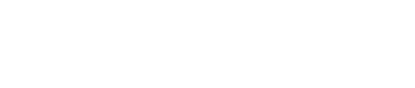 楼閣・松山城を仰ぐ 歴史を重んじ、未来を見据える。