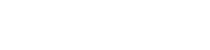 Tebra plug