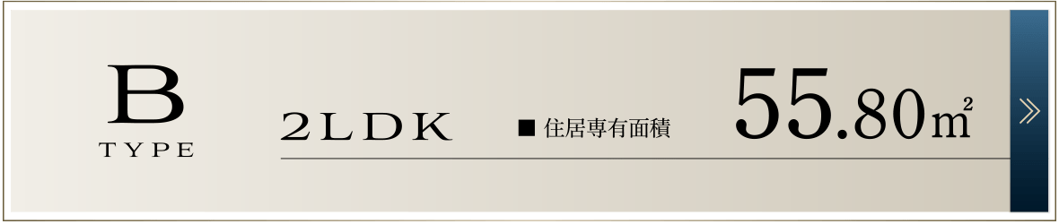 Bタイプ