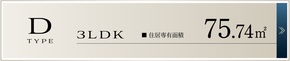 Dタイプ