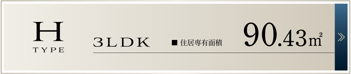 Hタイプ